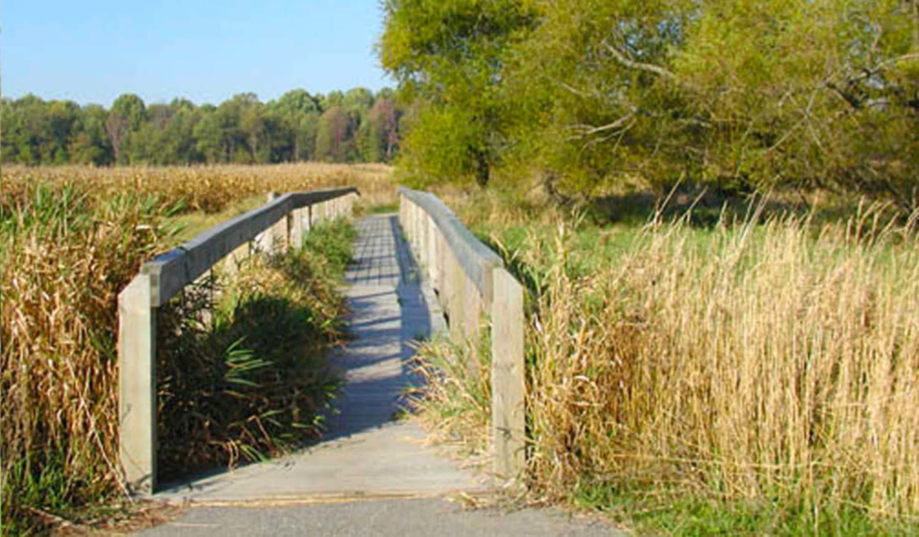 Harbor Country Hikers plans outing at Bluhm County Park